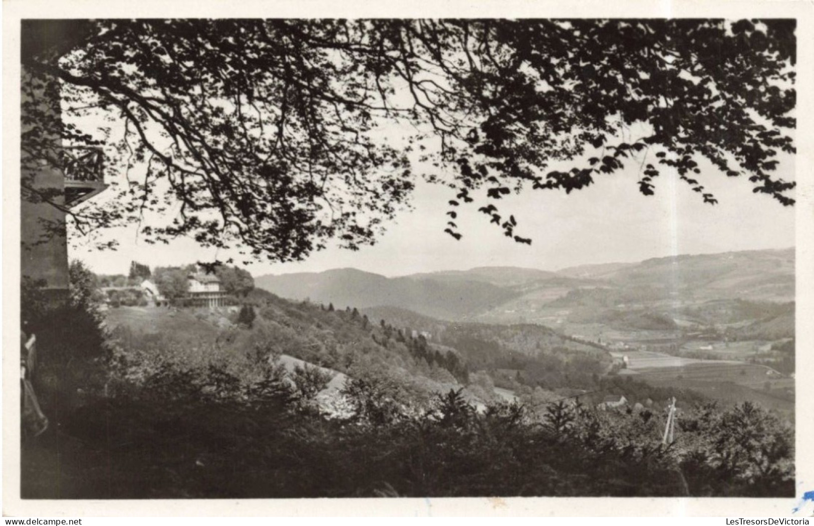 PHOTOGRAPHIE - La Feuillée Dorothée - Carte Postale Ancienne - Fotografie