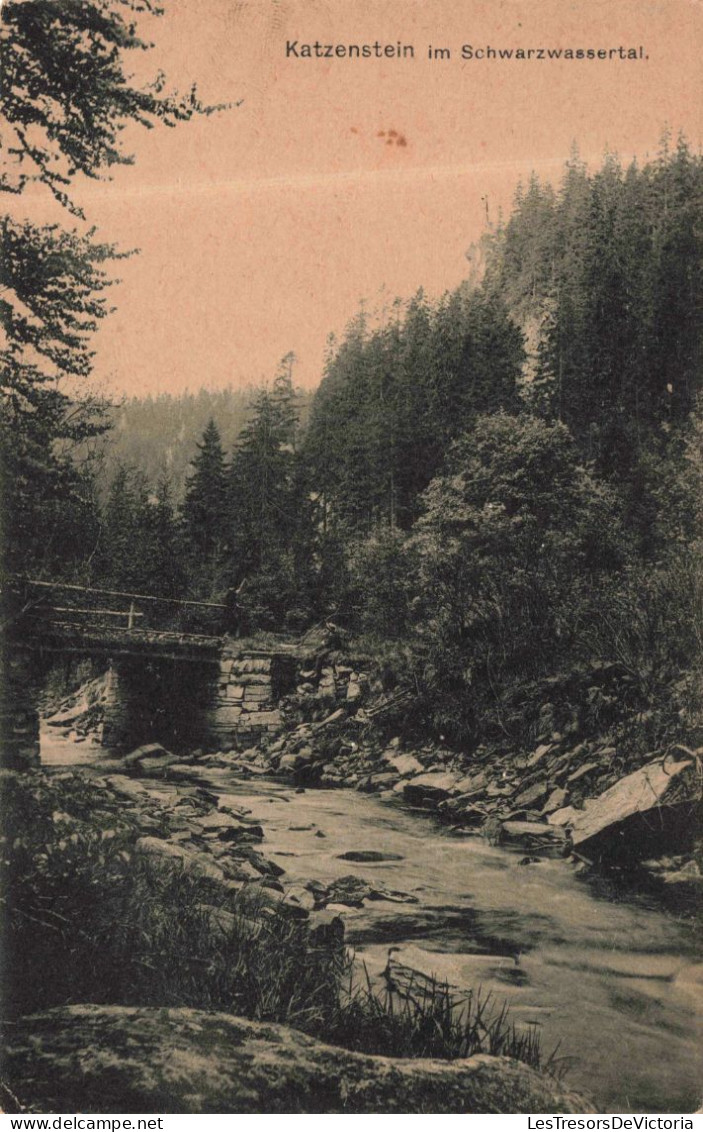 PHOTOGRAPHIE - Katzenstein Dans La Vallée De La Néra - Carte Postale Ancienne - Photographie