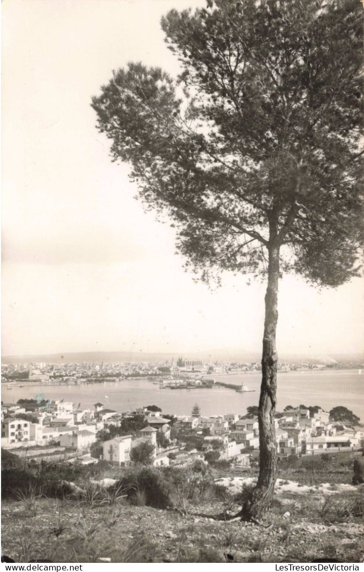 ESPAGNE - Palma De Mallorca - Vue Partielle - Carte Postale Ancienne - Palma De Mallorca