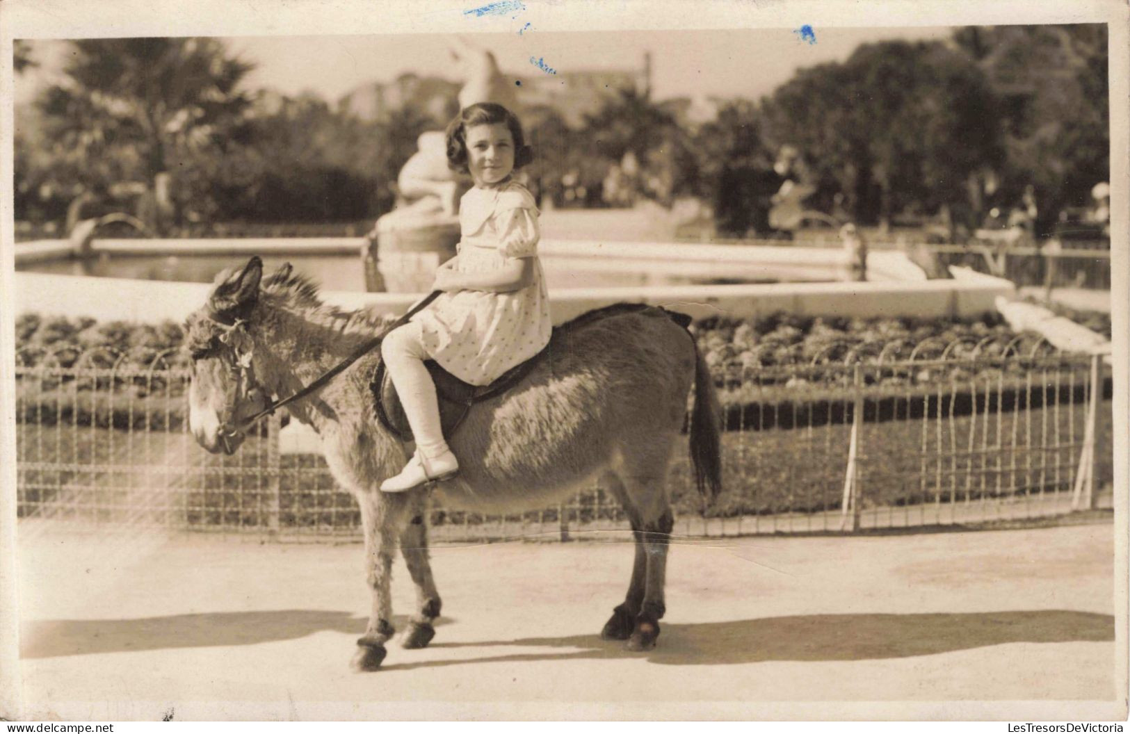 CARTE PHOTO - Une Petite Fille Sur Un Poney - Carte Postale Ancienne - Photographs