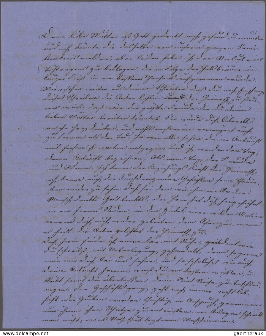 Norddeutscher Bund - Marken Und Briefe: 1870, Innendienstmarke 10 Gr. Grau Mit V - Sonstige & Ohne Zuordnung