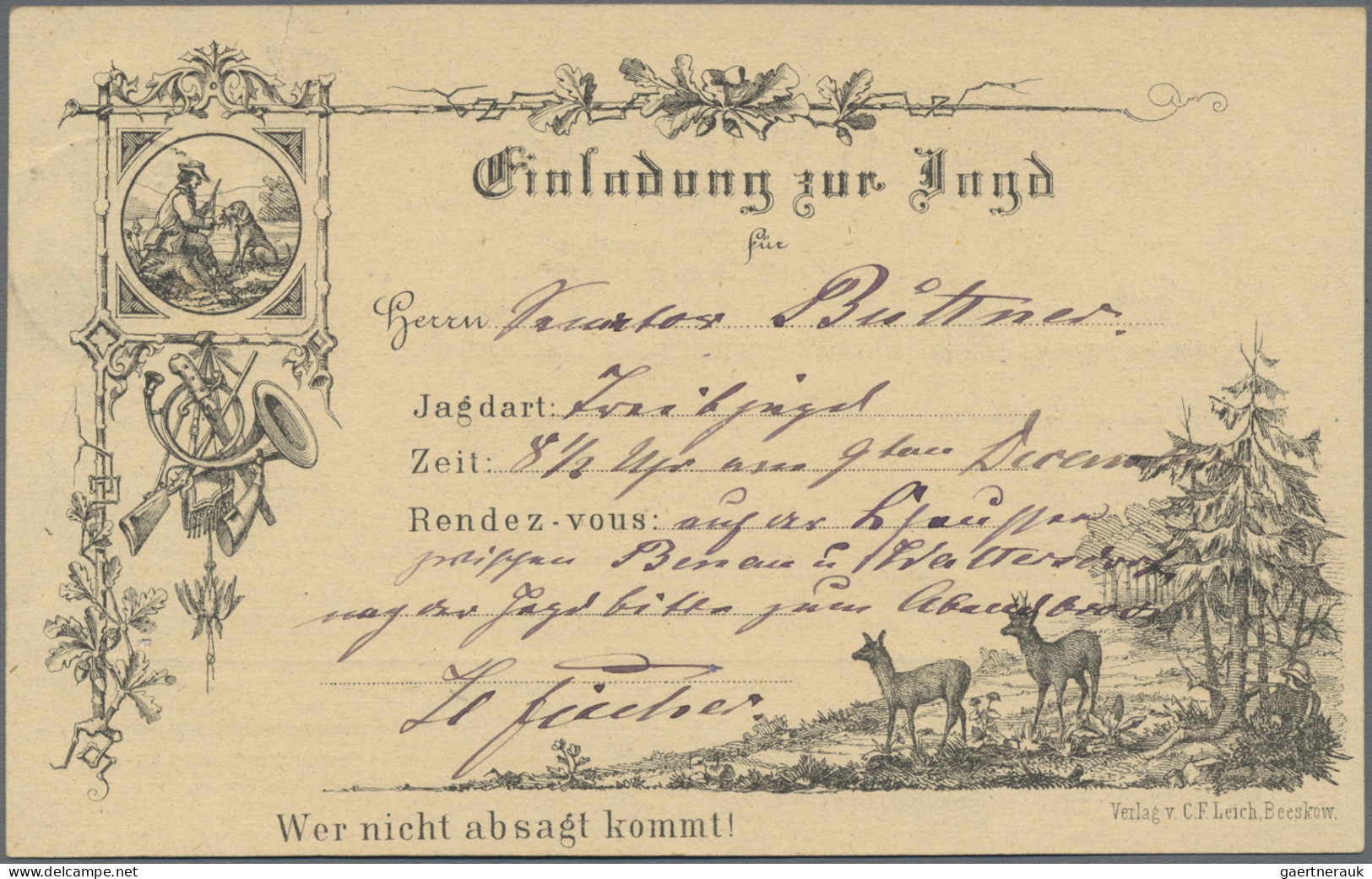 Deutsches Reich - Brustschild: 1874, Großer Schild ½ Gr. Orange Auf Dekorativer - Storia Postale