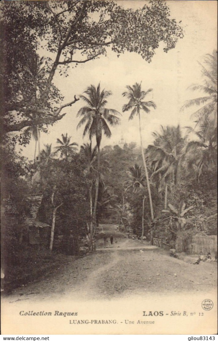 Laos, Luang Prabang, Une Avenue - Laos