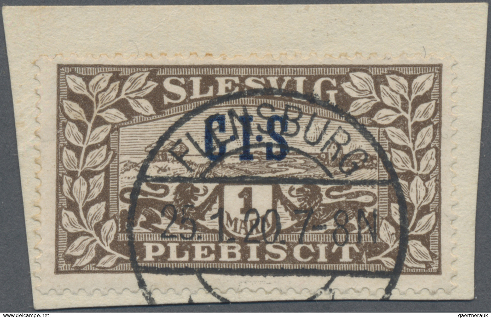 Deutsche Abstimmungsgebiete: Schleswig - Dienstmarken: 1920, 1 M Dunkelbraun Mit - Sonstige & Ohne Zuordnung