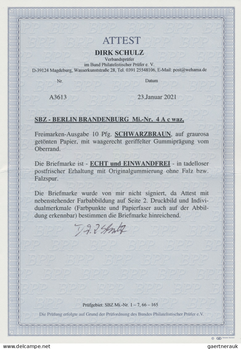 Sowjetische Zone - Berlin Und Brandenburg: 1945, 10 Pf Berliner Bär, Schwarzbrau - Other & Unclassified