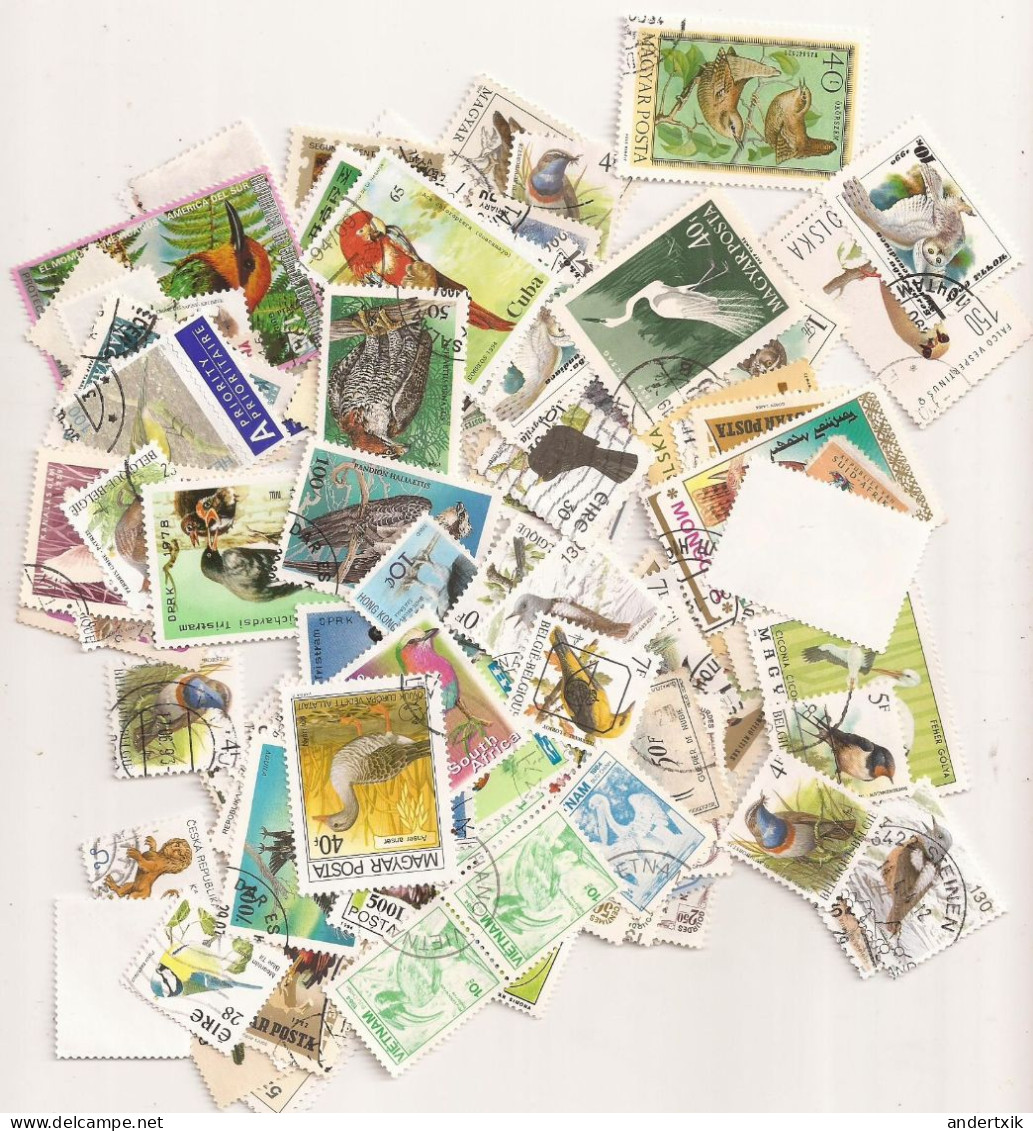 (ANG473) BIRDS, PAJAROS - 100 Different - Autruches