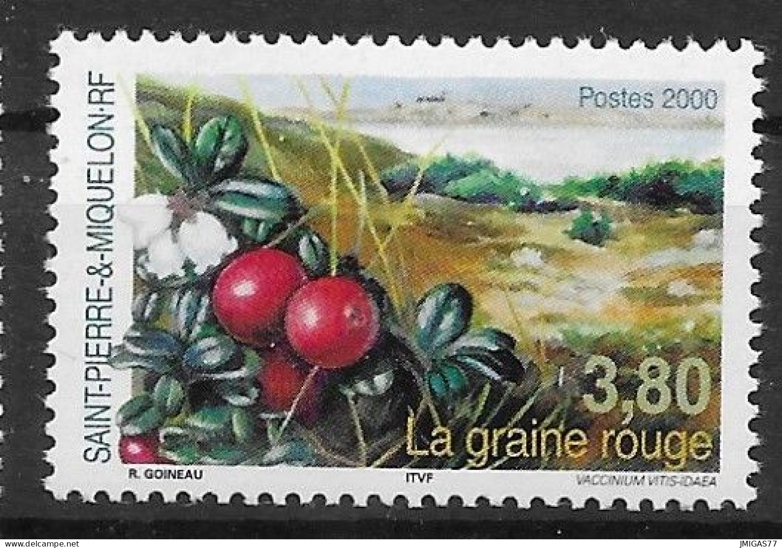 SPM St Pierre & Miquelon N° 710 Neuf ** MNH - Unused Stamps