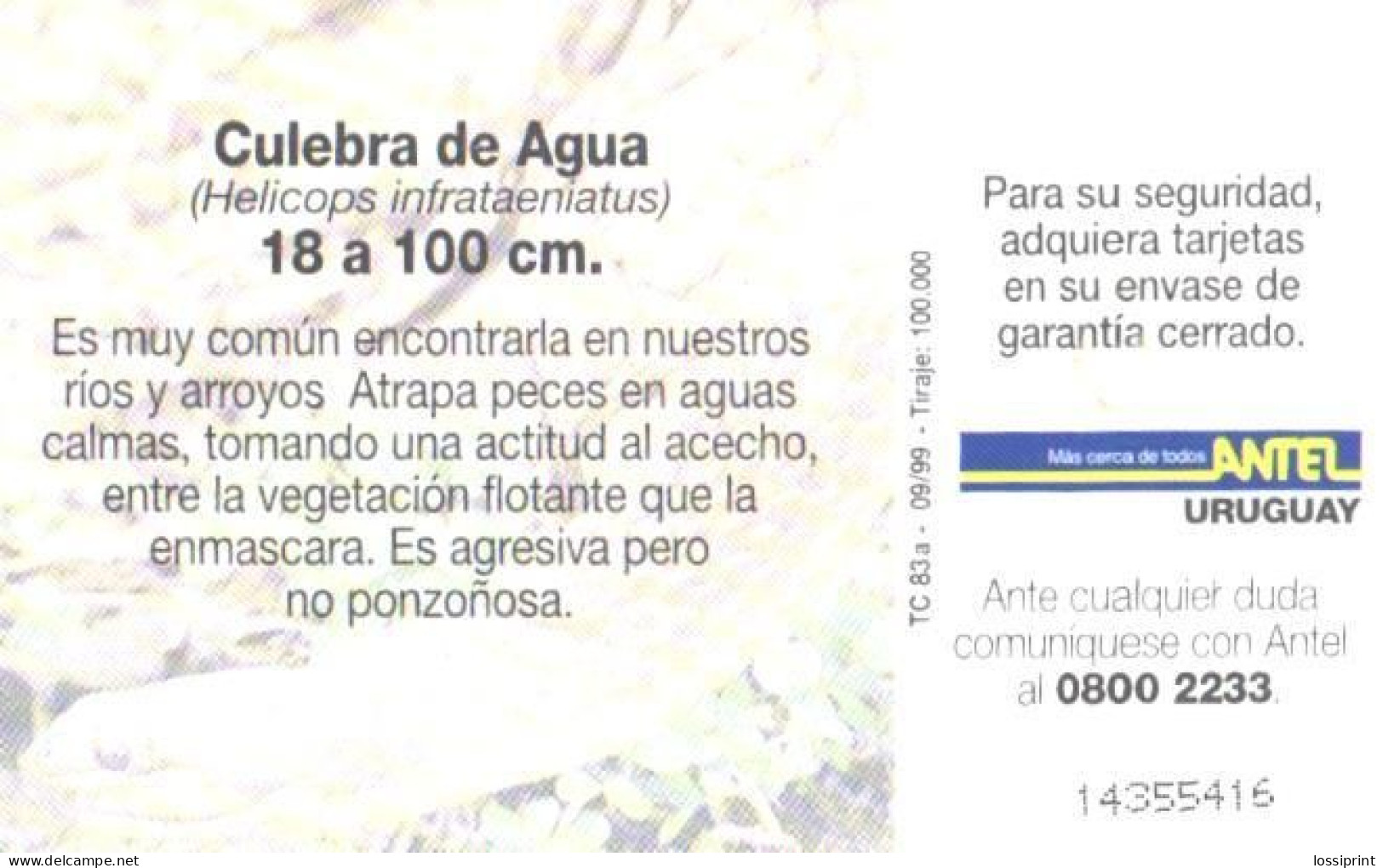 Uruguay:Used Phonecard, Antel, 5 $, Snake, Culebra De Agua, 1999 - Uruguay