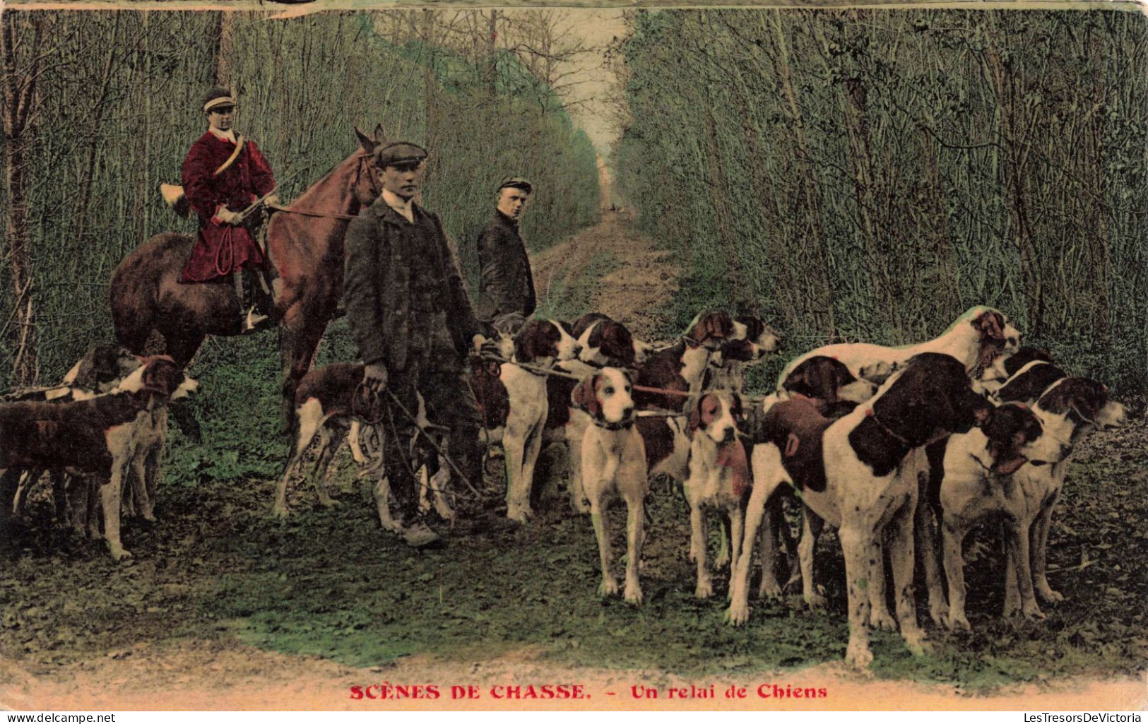 CARTE PHOTO - Scènes De Chasse - Un Relais De Chiens - Colorisé - Carte Postale Ancienne - Fotografia