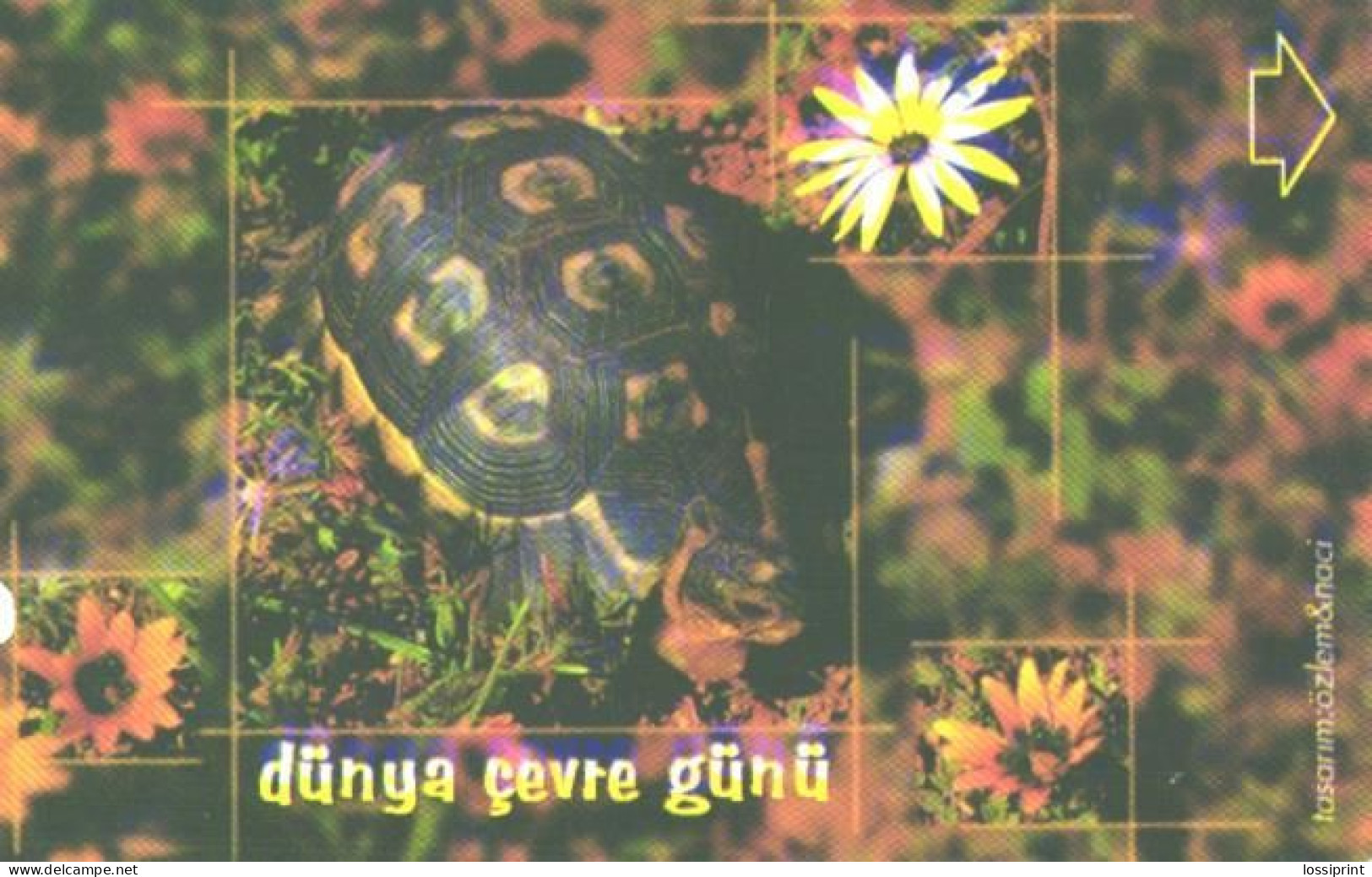 Turkey:Used Phonecard, Türk Telekom, 30 Units, Animal, Turtle, 2002 - Turkije