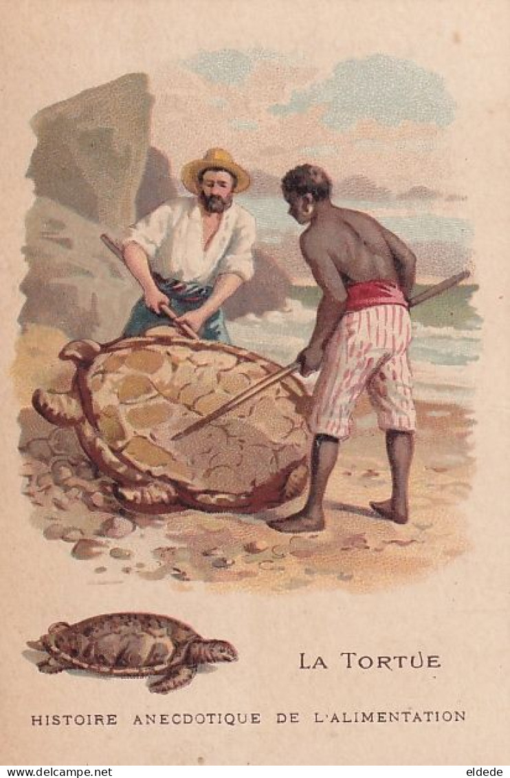 Chromo La Tortue Toroise Turtle . Men Killing For Food - Schildpadden