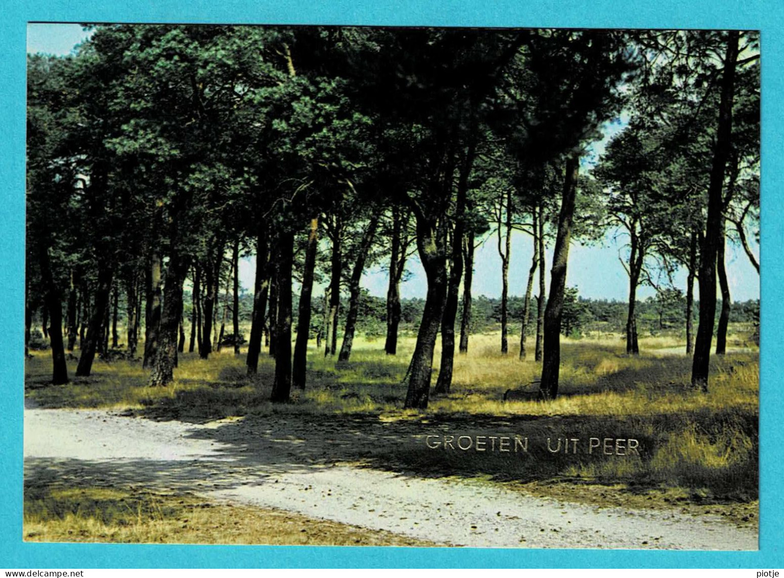 * Peer (Limburg) * (Uitgave Lander Eupen) Groeten Uit Peer, Bonjour De, Parc, Bos, Foret, Arbres - Peer