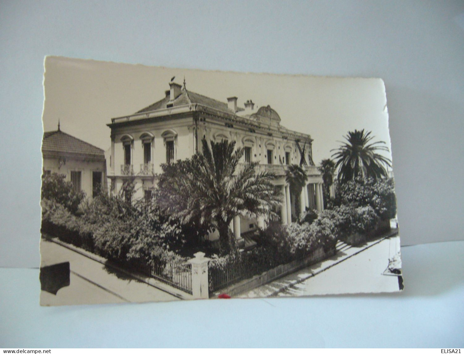 GUELMA ALGERIA ALGERIE LA SOUS PREFECTURE CPSM FORMAT CPA  1957 - Guelma