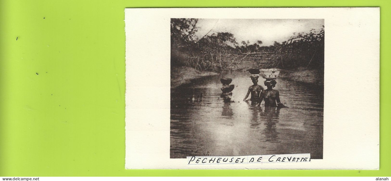 Pêcheuses De Crevettes (Vialla) Guinée - Guinée Française