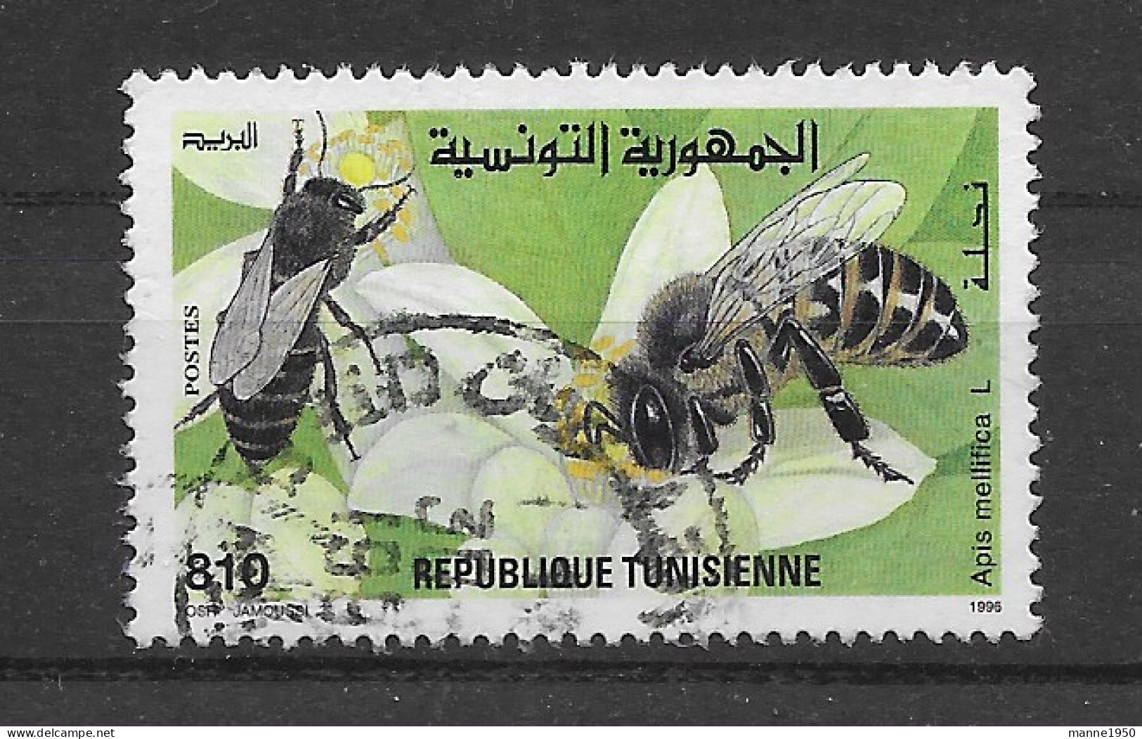 Tunesien 1996 Insekten Mi.Nr. 1332 Gestempelt - Tunisie (1956-...)