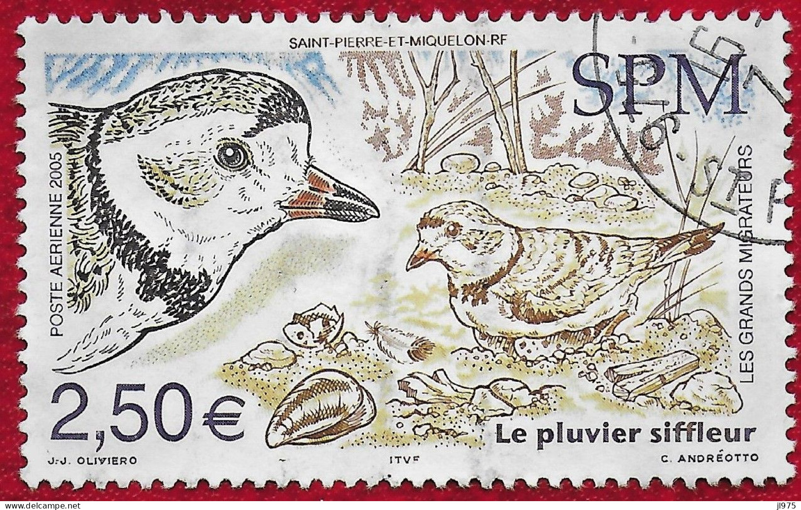 St.Pierre Et Miquelon PA 85  2005 Oiseau  Oblitéré  " Pluvier Siffleur "  Cachet SP - Gebraucht