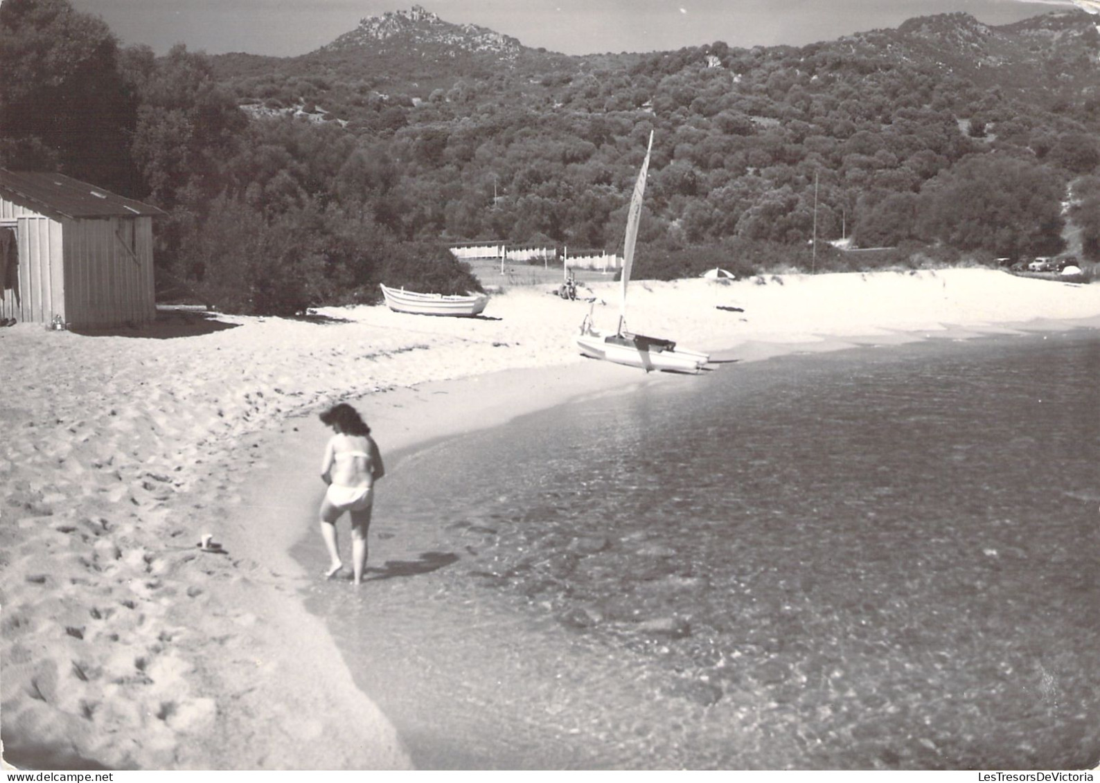 CORSE - Olmeto - Golfe De Valingo - Le Centre De Vacances - La Marine De Colomba  - Carte Postale - Other & Unclassified