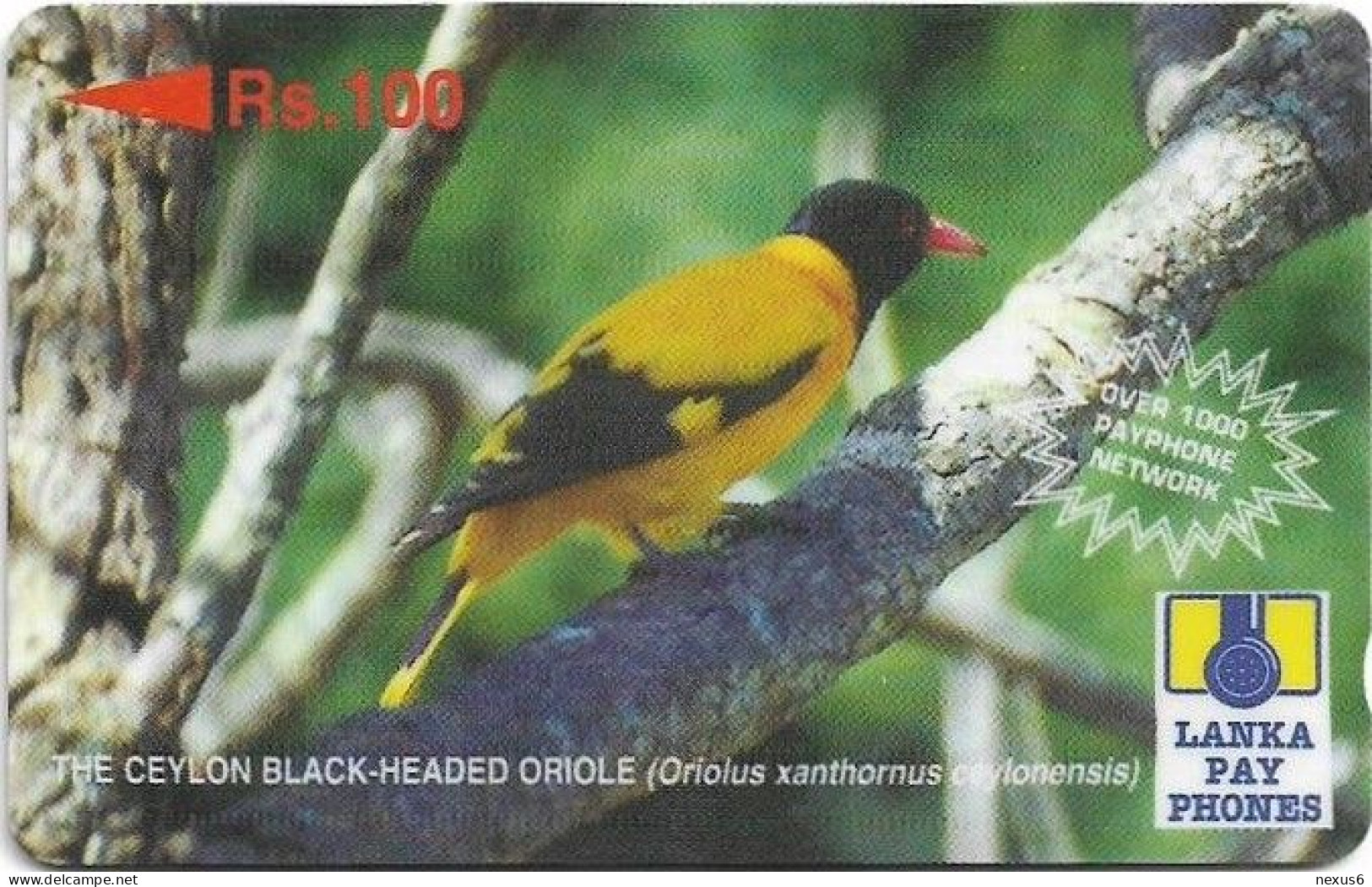 Sri Lanka - Lanka Pay Phones (GPT) - Black-Headed Oriole - 32SRLD (Normal 0, Letter B) - 100Rs, Used - Sri Lanka (Ceylon)