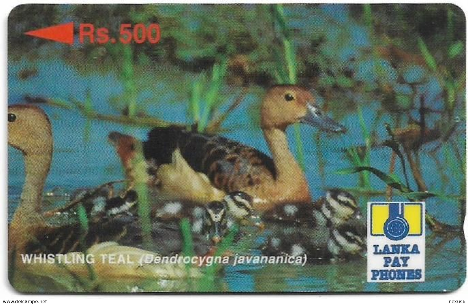 Sri Lanka - Lanka Pay Phones (GPT) - Whistling Teal - 22SRLA (Normal 0, Letter B), 500Rs, Used - Sri Lanka (Ceylon)