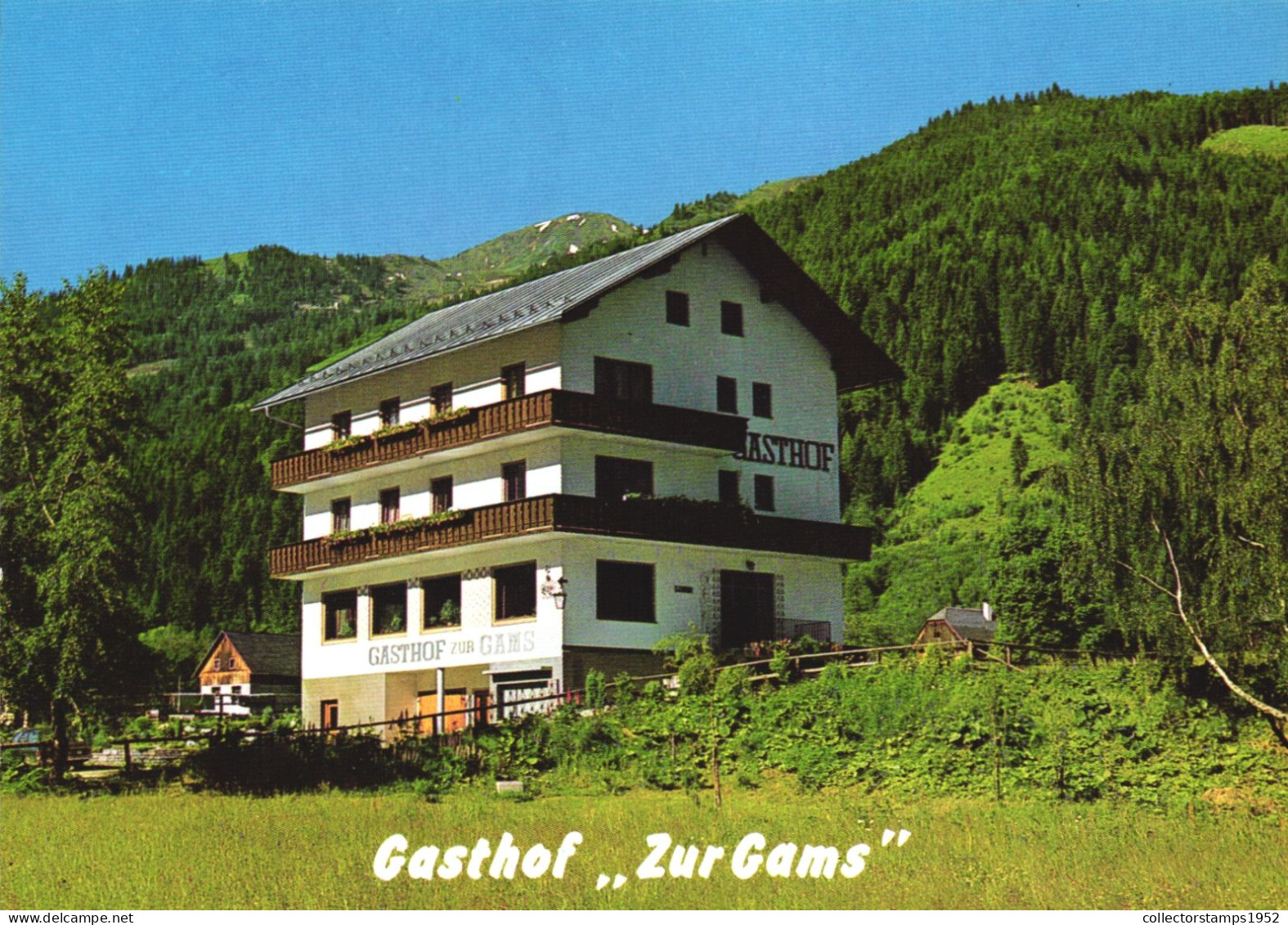 AUSTRIA, STYRIA, DONNERSBACH, HOTEL ZUR GAMS, MOUNTAIN - Donnersbach (Tal)