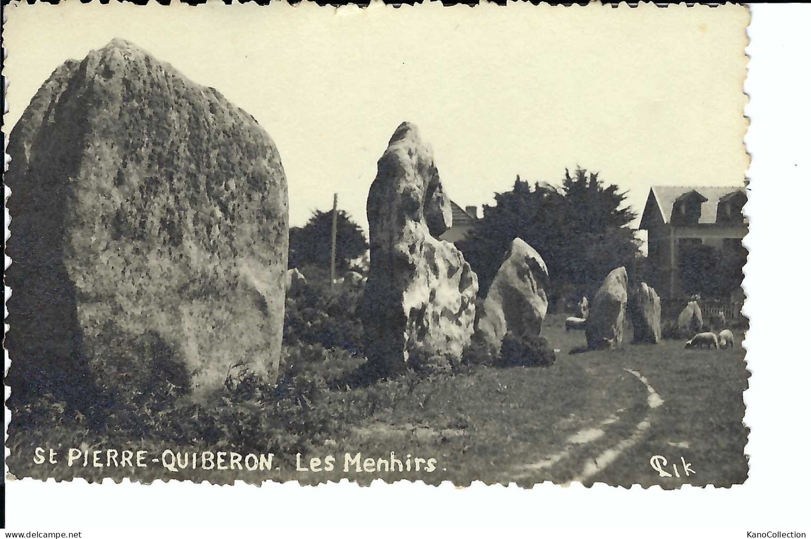 St. Pierre-Quiberon, Les Menhirs, Gelaufen 1951 - Dolmen & Menhirs