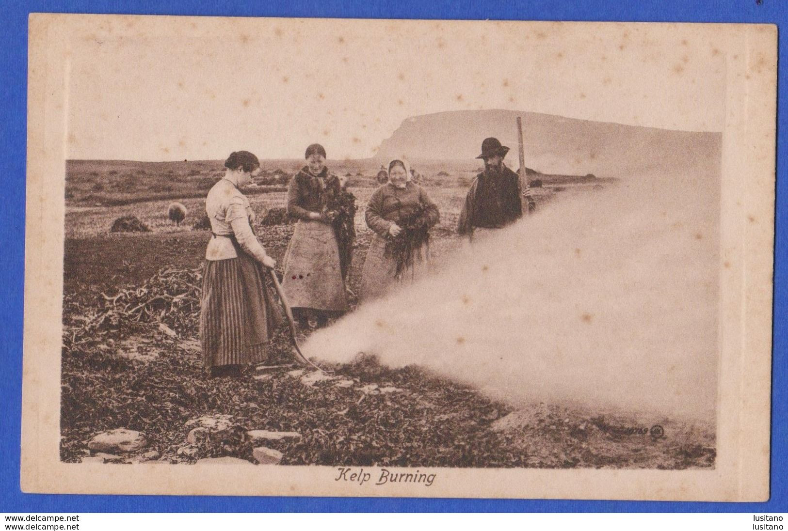 Scotland Orkney Kelp Burning Valentine Series - 1910s Postcard - Orkney