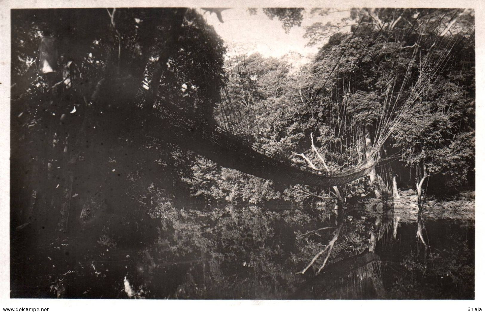 19640  AOF Guinée  Pont De Lianes ( 120 M De Long  ,  ( 2 Scans)  GUINEE - Guinée Française