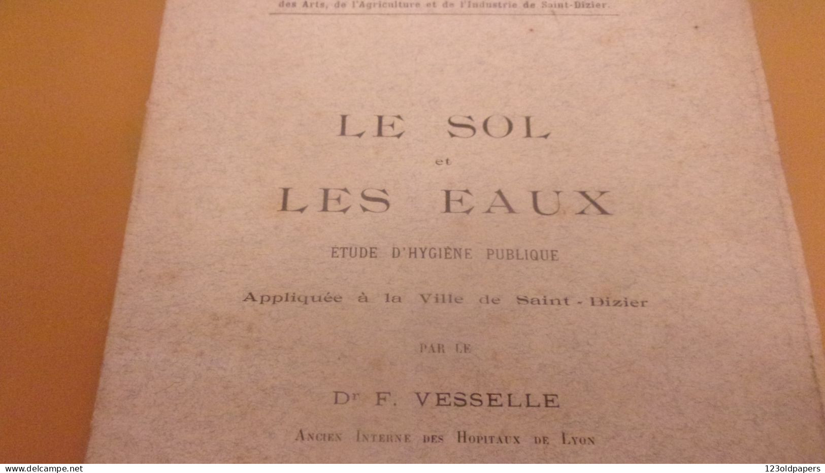 HAUTE MARNE  1899  Le Sol Et Les Eaux étude D’hygiène Publique à La Ville De Saint Dizier Par Le Docteur F.Vesselle PLAN - Lorraine - Vosges