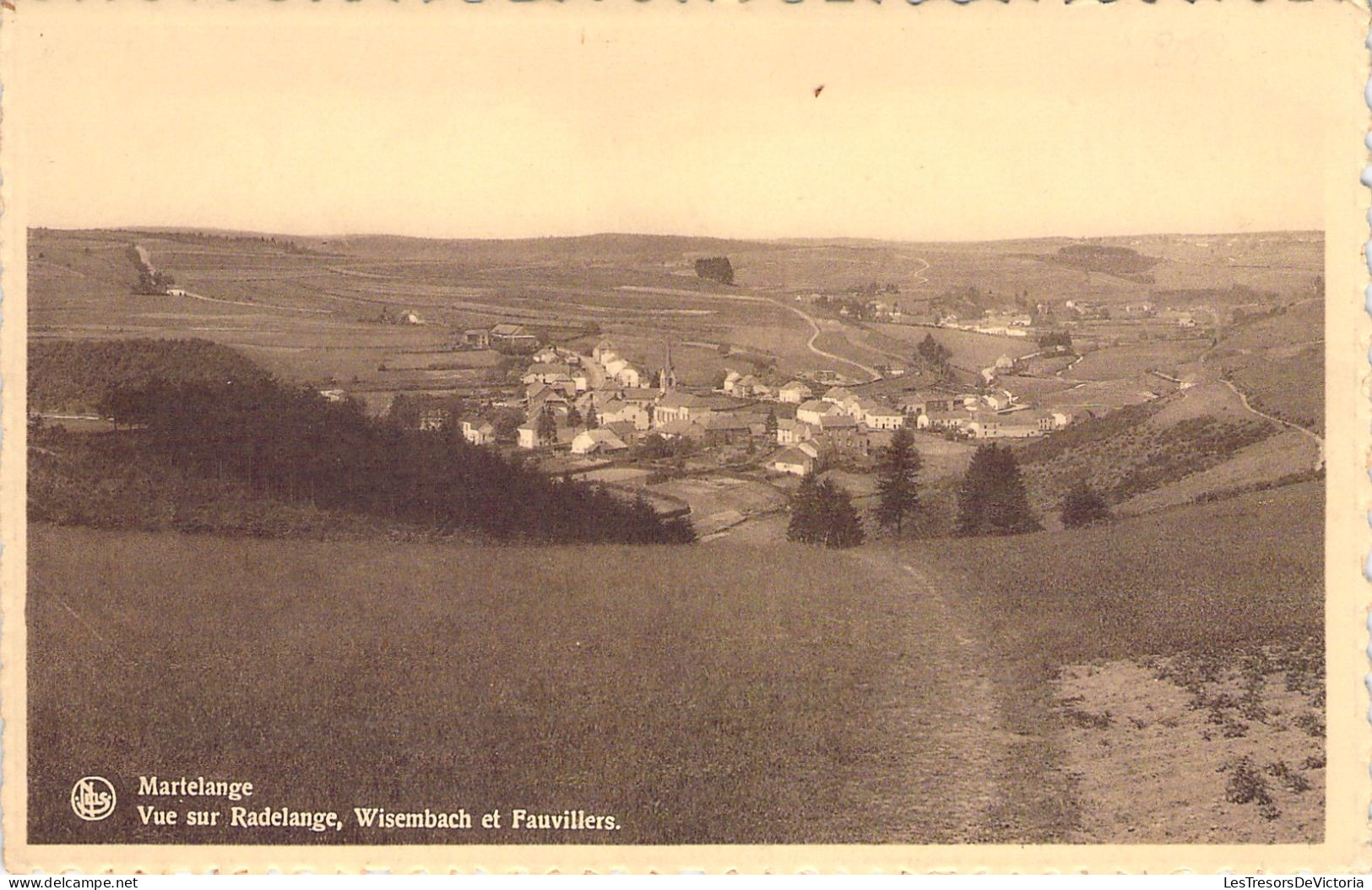 Belgique - Martelange - Vue Sur Radelange Wisembach Et Fauvillers - Carte Postale Ancienne - Martelange