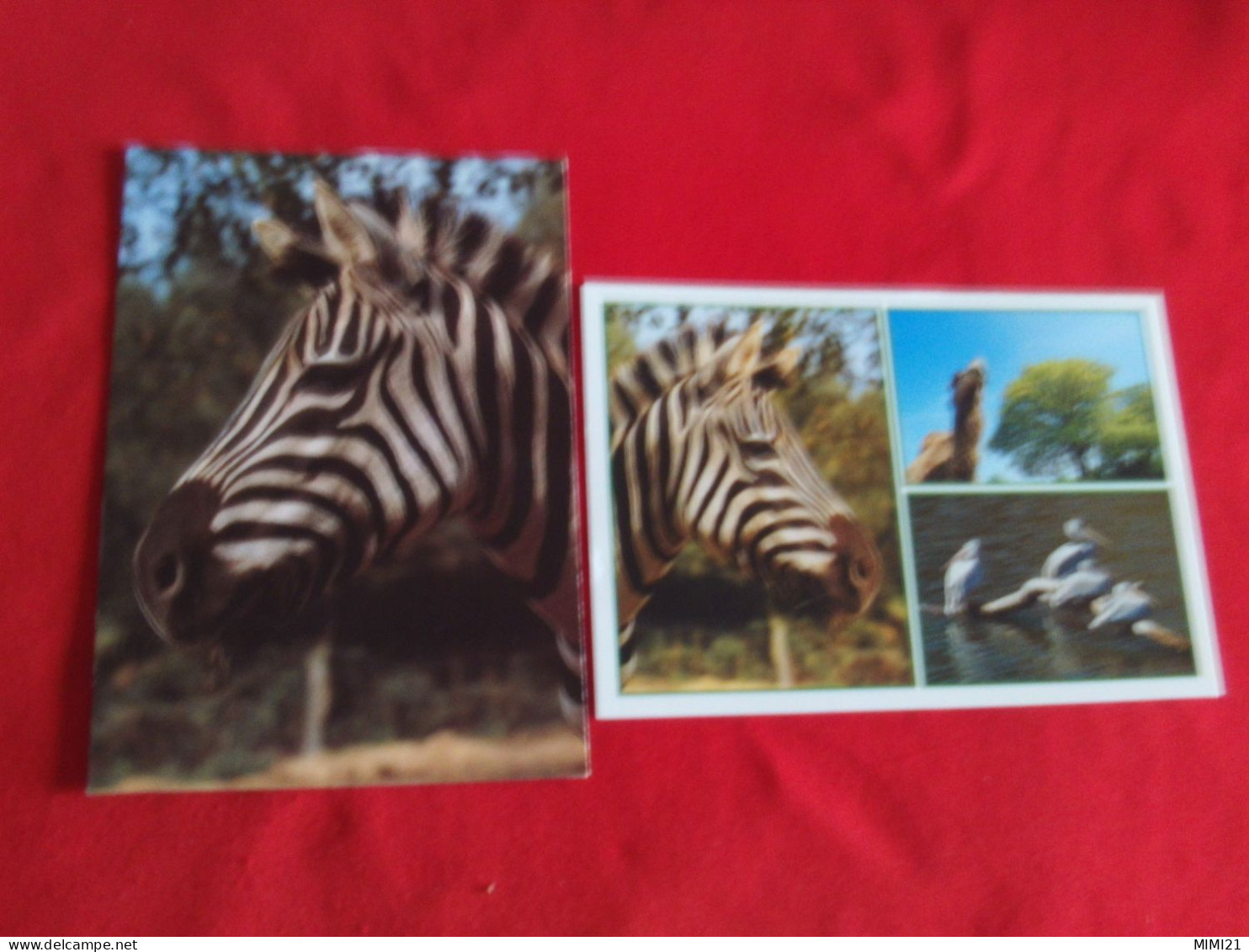 LOT DE 2 CARTES...."ZEBRES ET ANIMAUX DANS LE PARC ANIMALIER ST-MARTIN MONTAIGU-LA -BRISETTE...VALOGNES".. - Zèbres