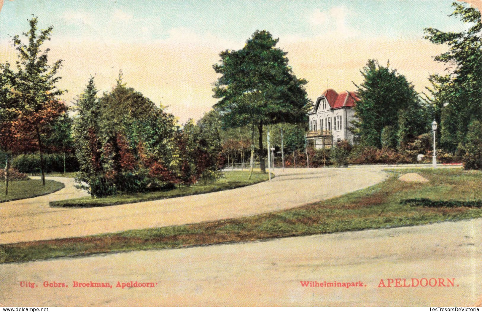 PAYS BAS - Wilhelminapark - Apeldoorn - Colorisé - Carte Postale Ancienne - Apeldoorn