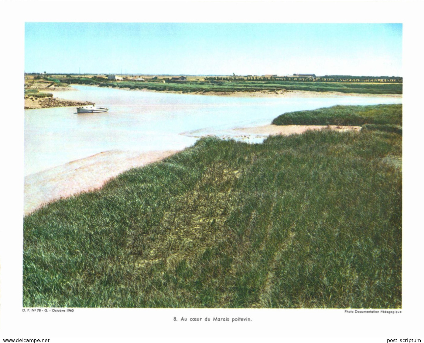 Photo  -  Reproduction -  Au Coeur Du Mairais Poitevin - Europe