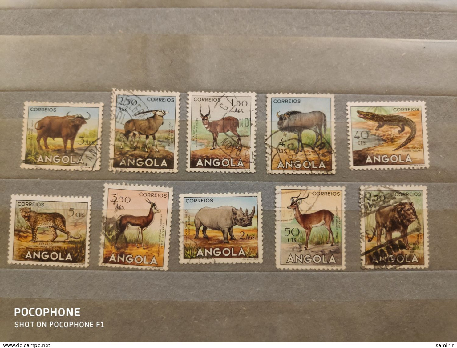 1953 Angola	Animals  (F39) - Angola