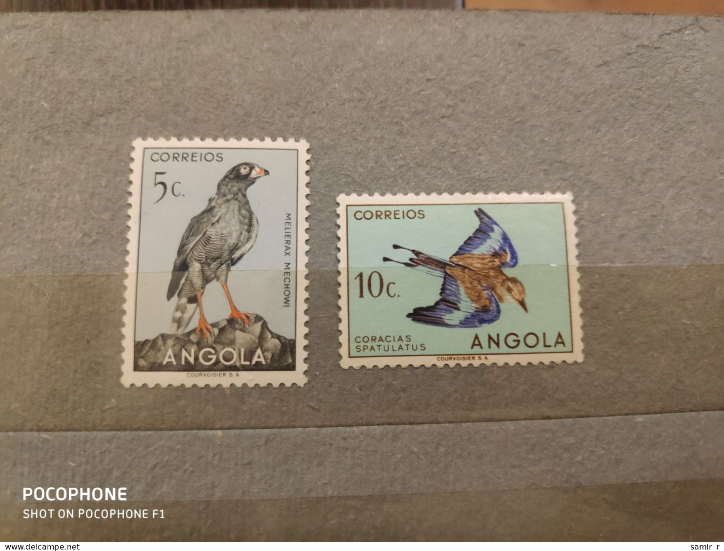 1951  Angola	Birds   (F39) - Angola