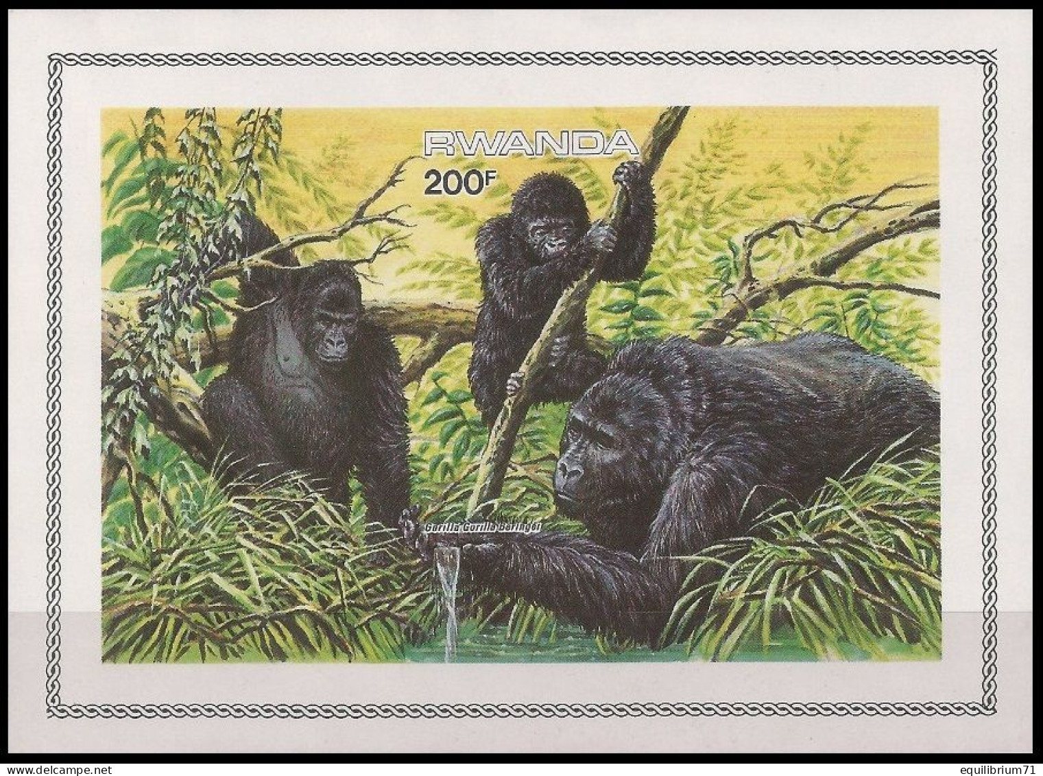 BL99**(1231) ND/OG - Gorilles Des Montagnes / Berggorilla's / Berg Gorillas / Mountain Gorillas - III - WWF - BUZIN - Gorillas