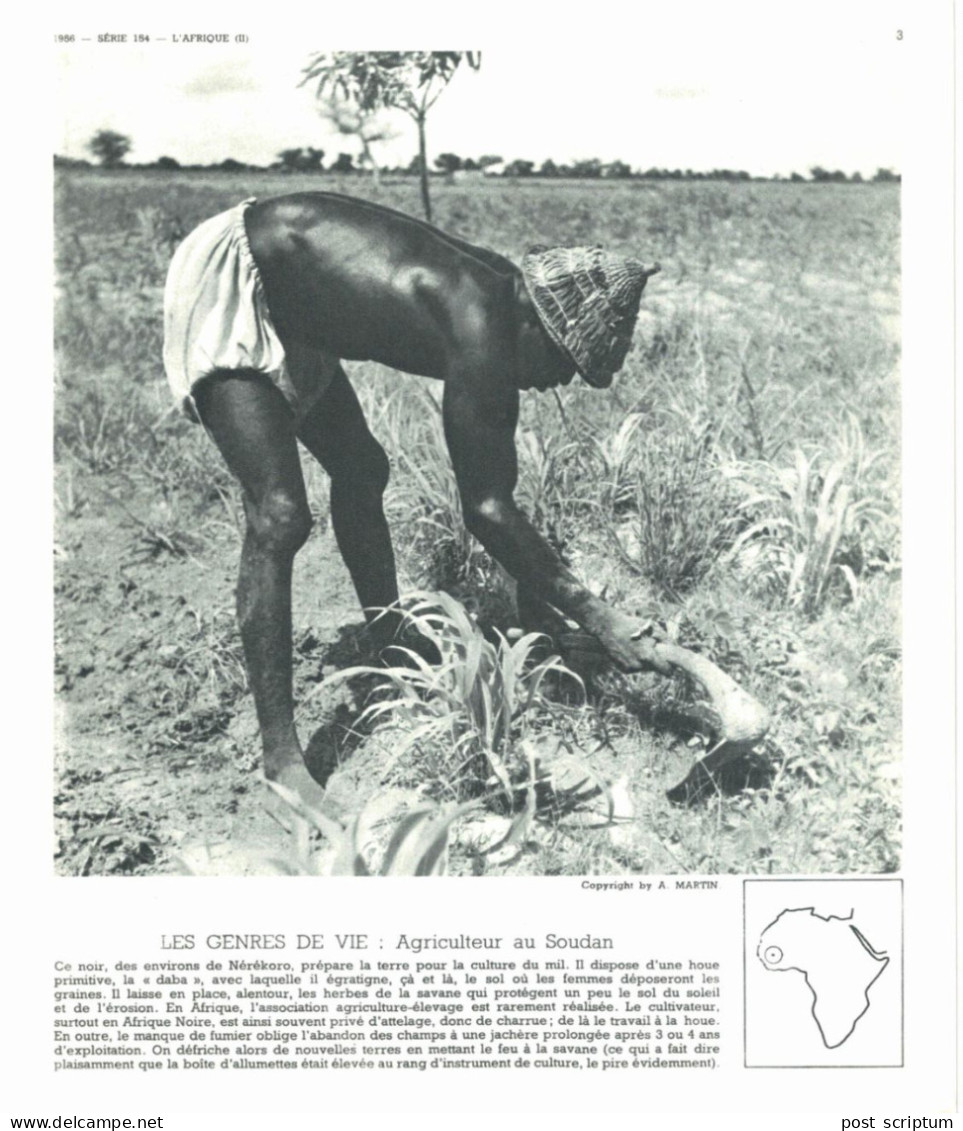 Photo  -  Reproduction -  Soudan - Agriculteur - Afrika