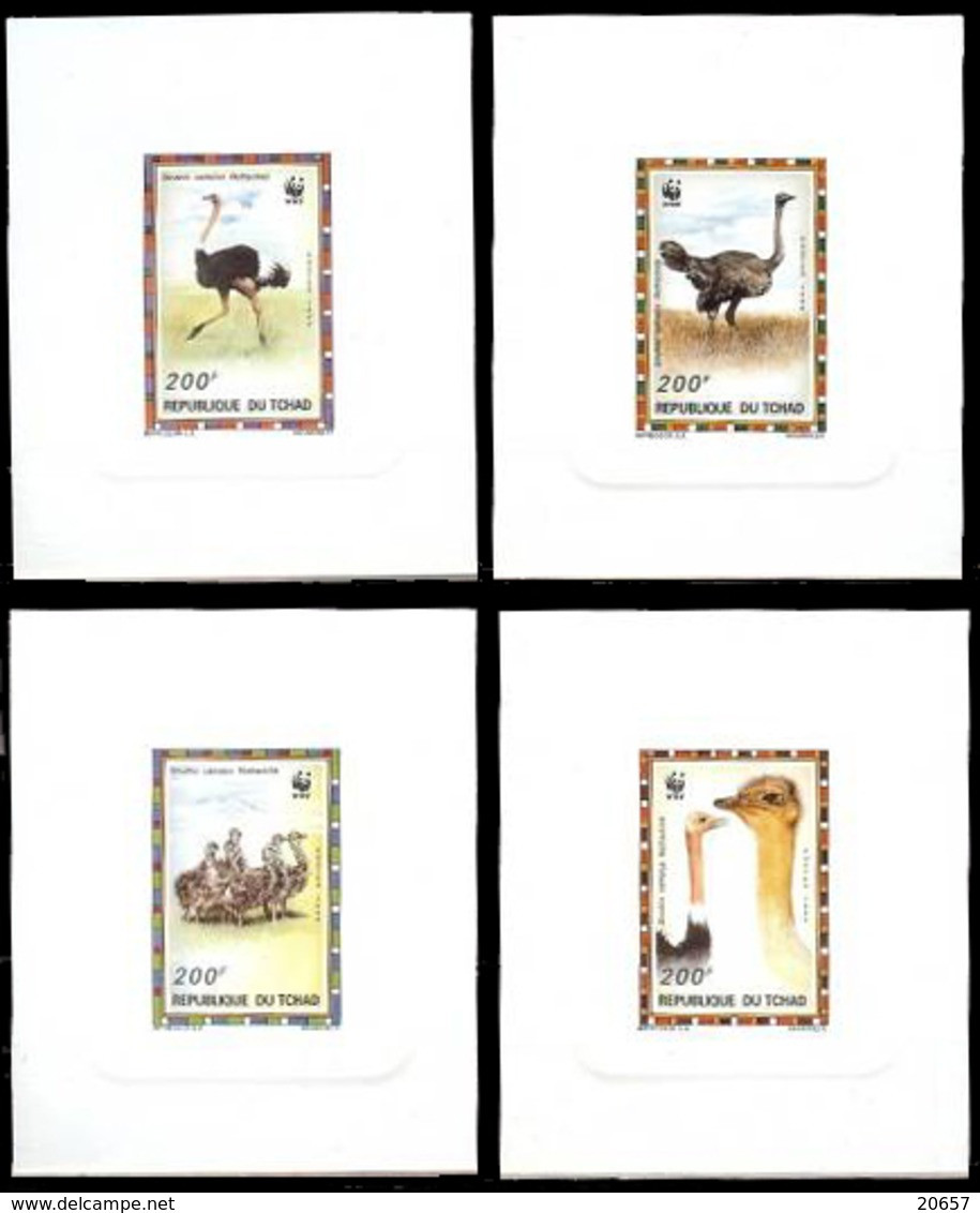 Tchad 649/52 Epreuve De Luxe Autruche Wwf, Série Complète - Altri & Non Classificati