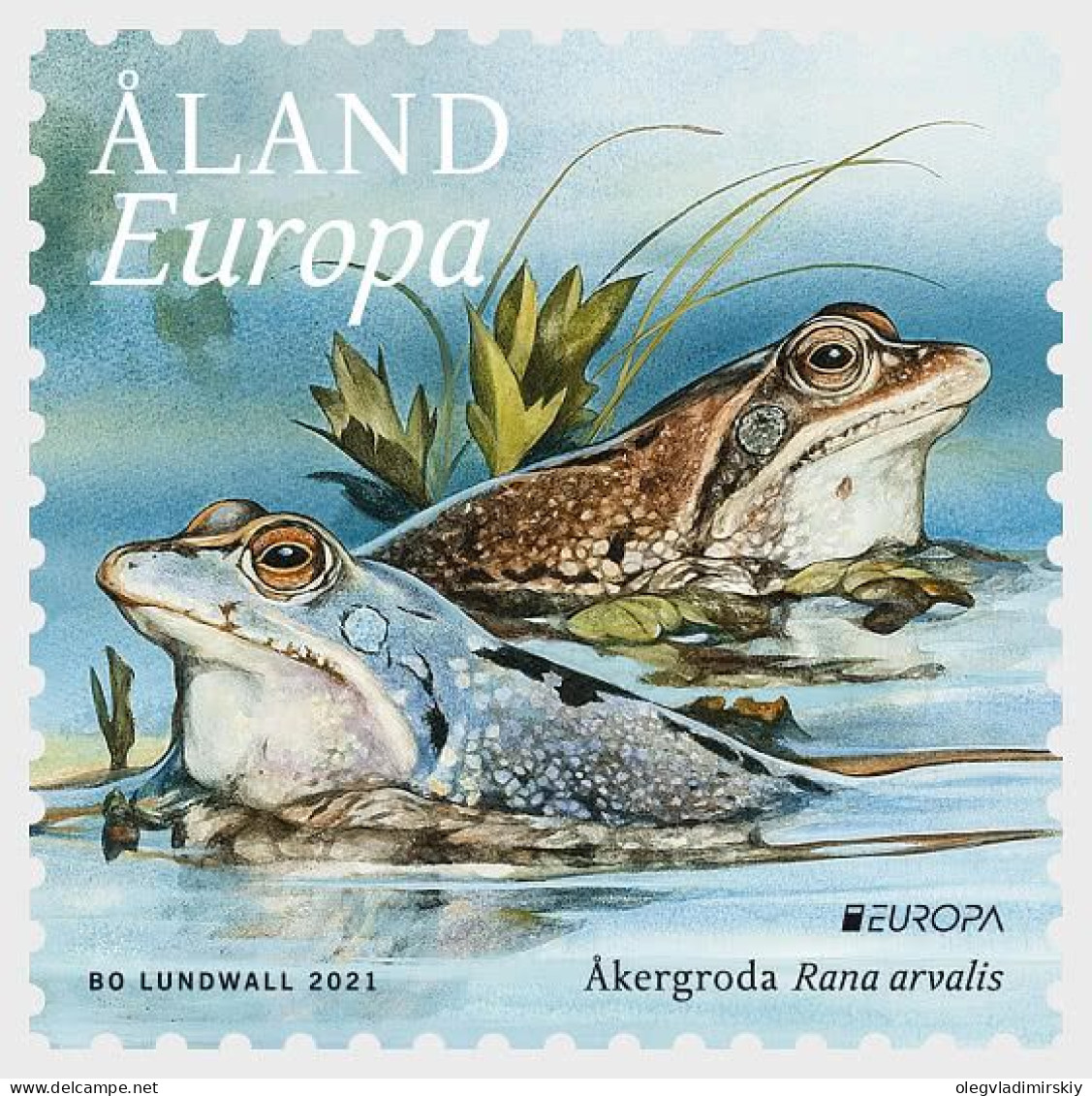 Aland Islands Åland Finland 2021 Europa CEPT Endangered National Wildlife Moor Frogs Stamp Mint - Ongebruikt