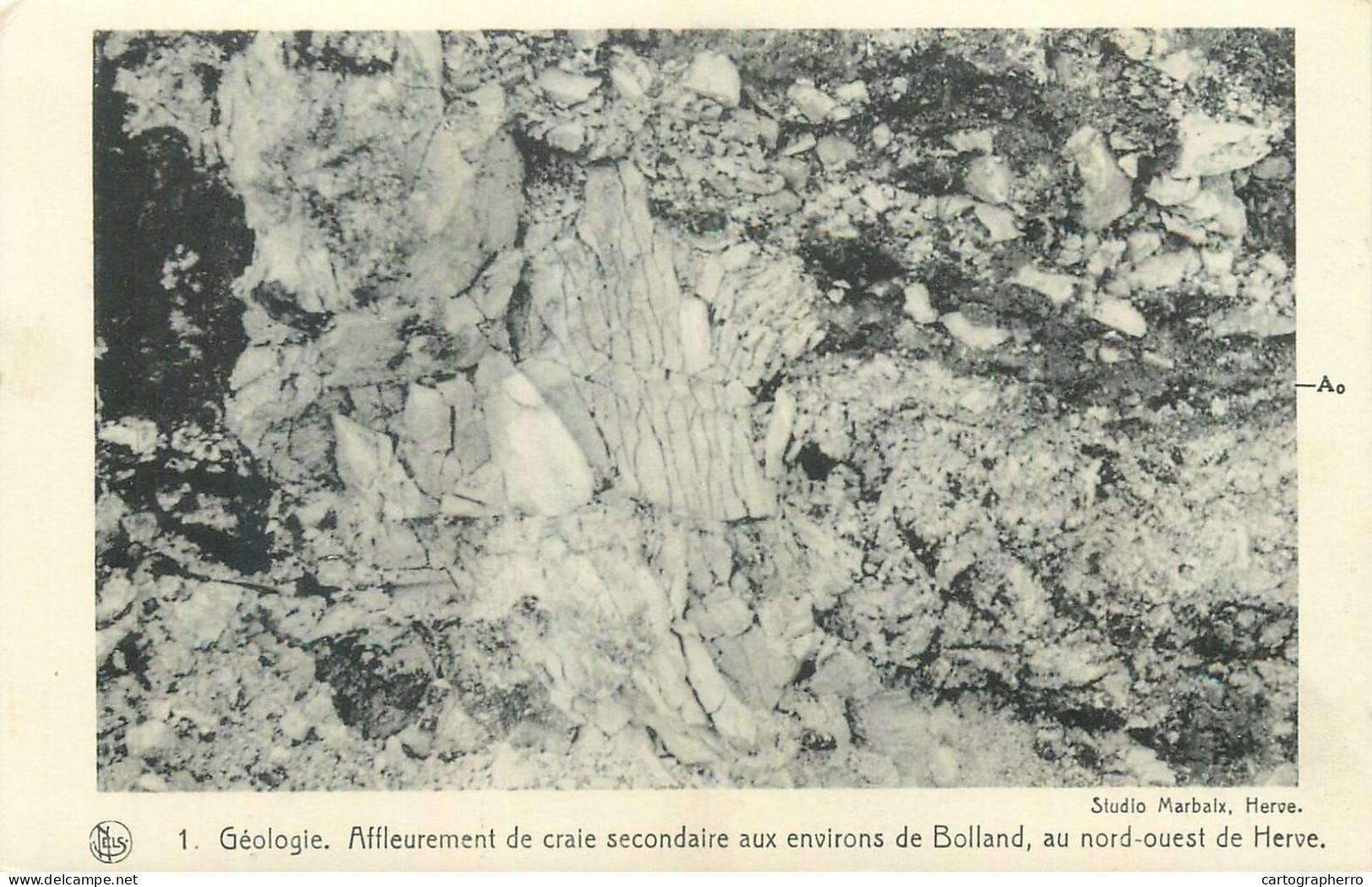 Geologie Affleurement De Craie Secondaire Aux Environs De Bolland, Au Nord-ouest De Herve - Herve