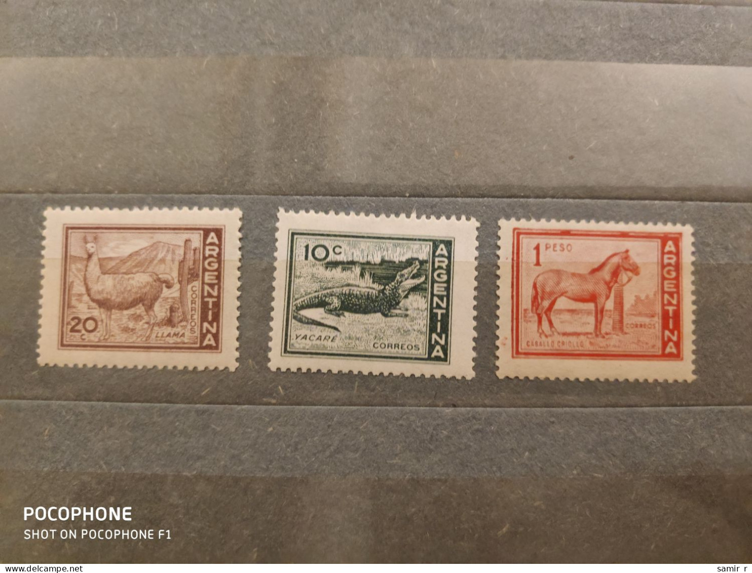 1960 Argentina	Animals Horses  (F39) - Ongebruikt