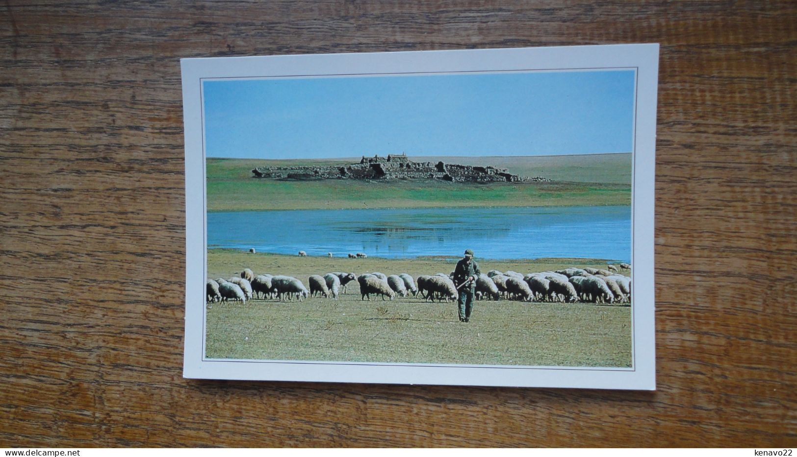 Mongolie Extérirure , La Steppe "" Carte Animée Berger Et Ses Moutons "" - Mongolie