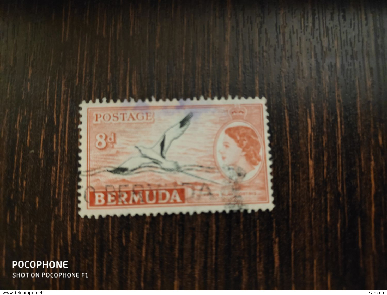 1958 Bermuda	Birds  (F39) - Bermuda