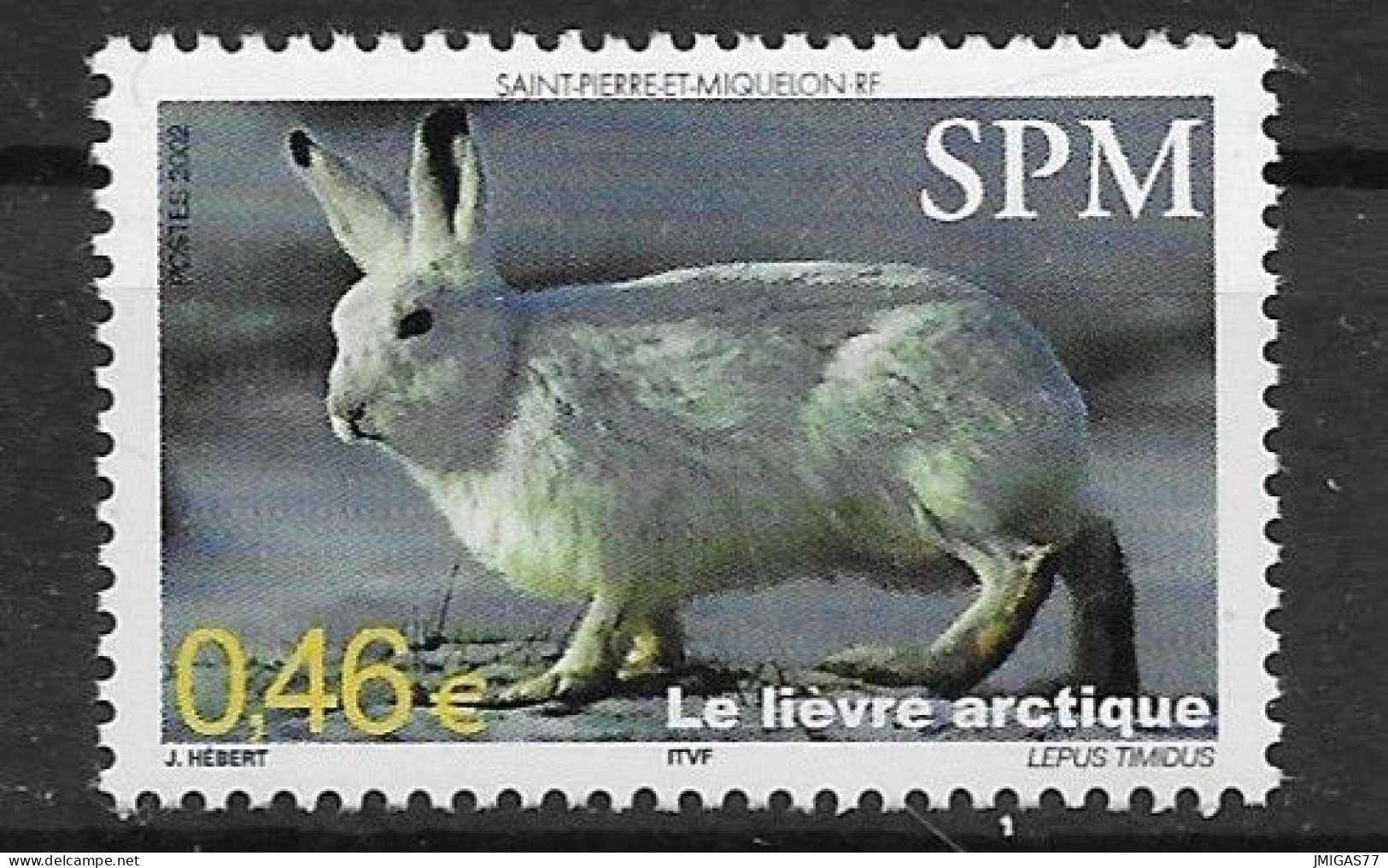 SPM St Pierre & Miquelon N° 782 Neuf ** MNH - Unused Stamps