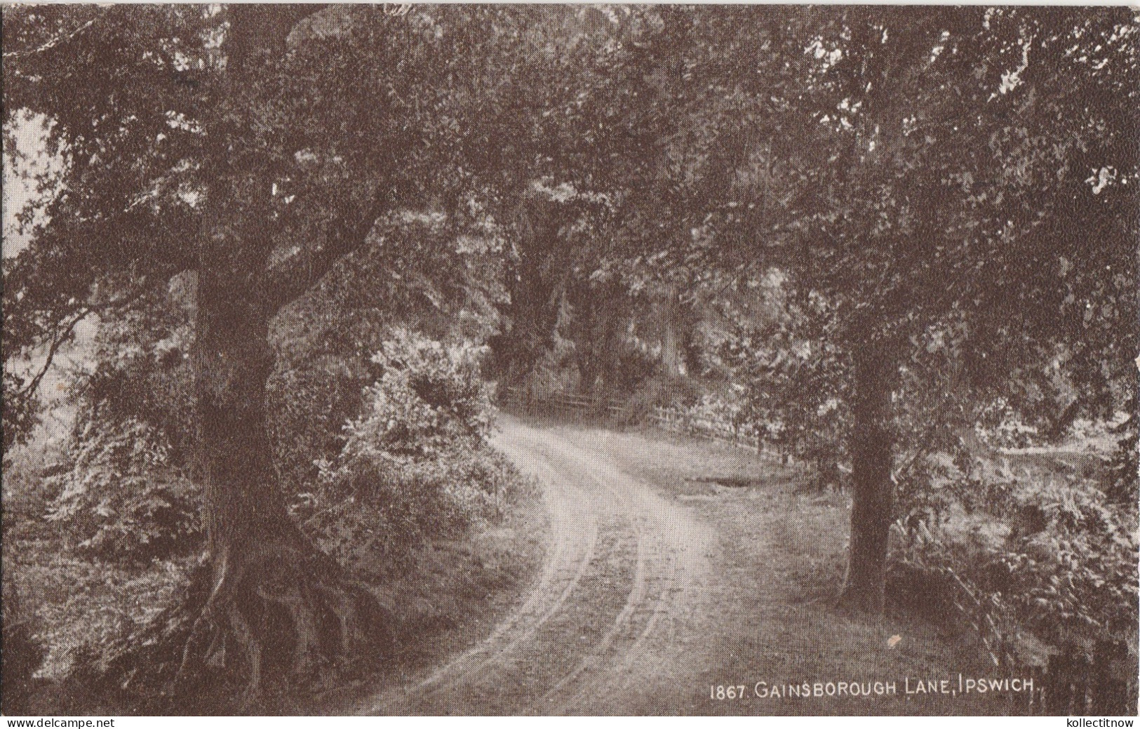 GAINSBOROUGH LANE - IPSWICH - Ipswich