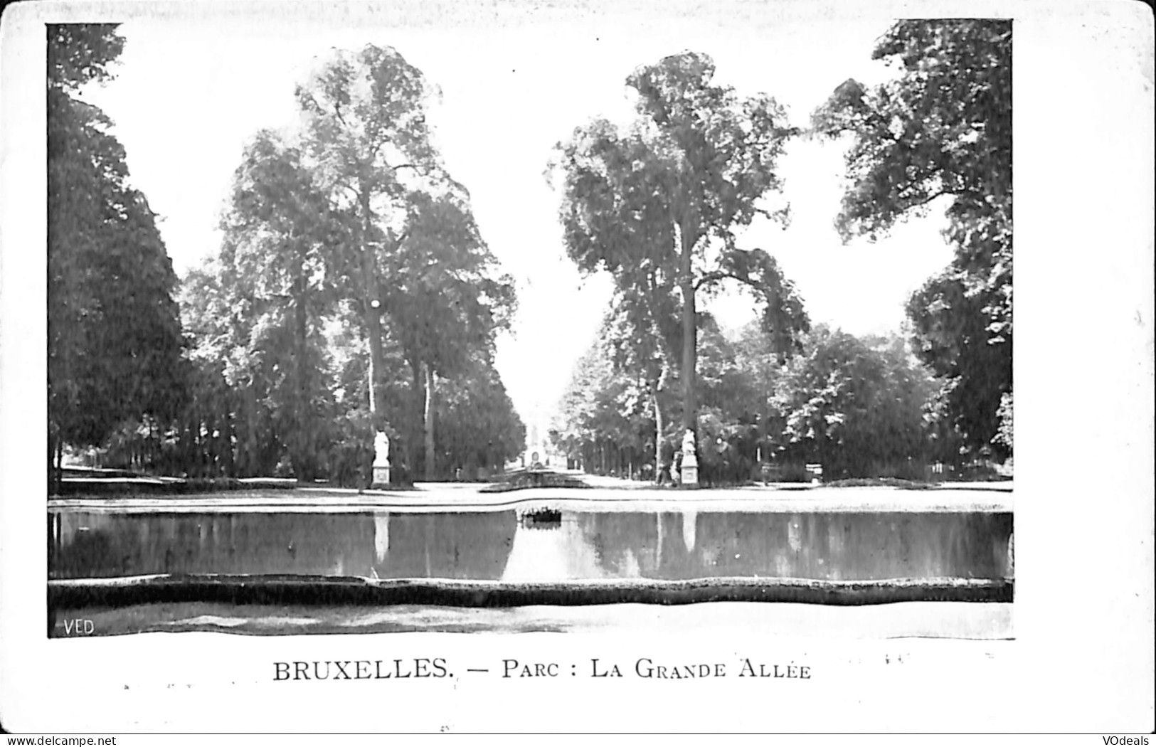 Belgique - Bruxelles - Parc - La Grande Allée - Bossen, Parken, Tuinen