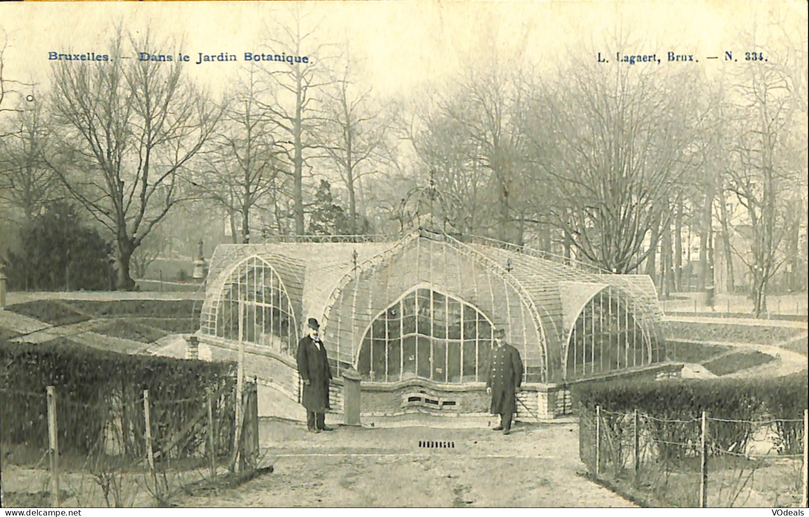 Belgique - Bruxelles - Dans Le Jardin Botanique - Forêts, Parcs, Jardins