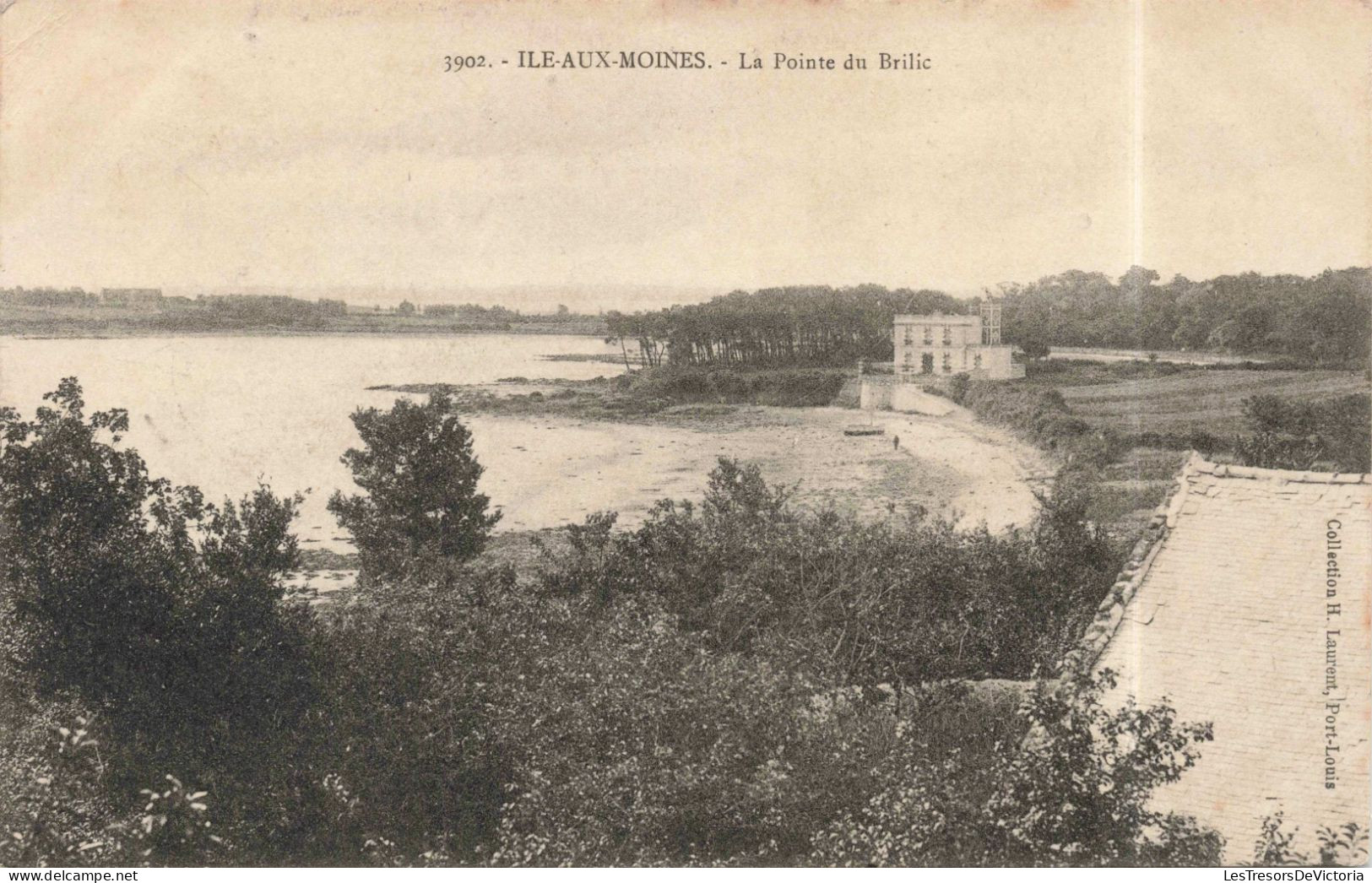 FRANCE - Île-aux-Moines - La Pointe Du Brilic -  Carte Postale Ancienne - Ile Aux Moines