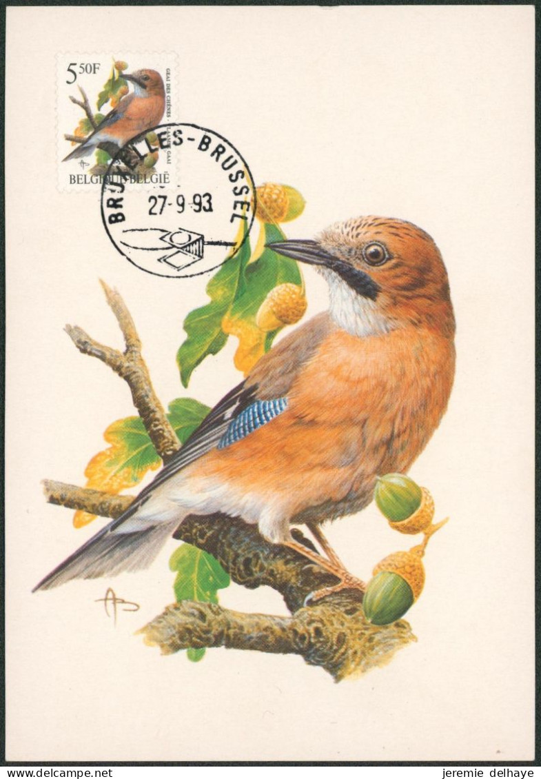 Carte-maximum (CM) - N°2526 Oiseaux (Buzin) - 1991-2000