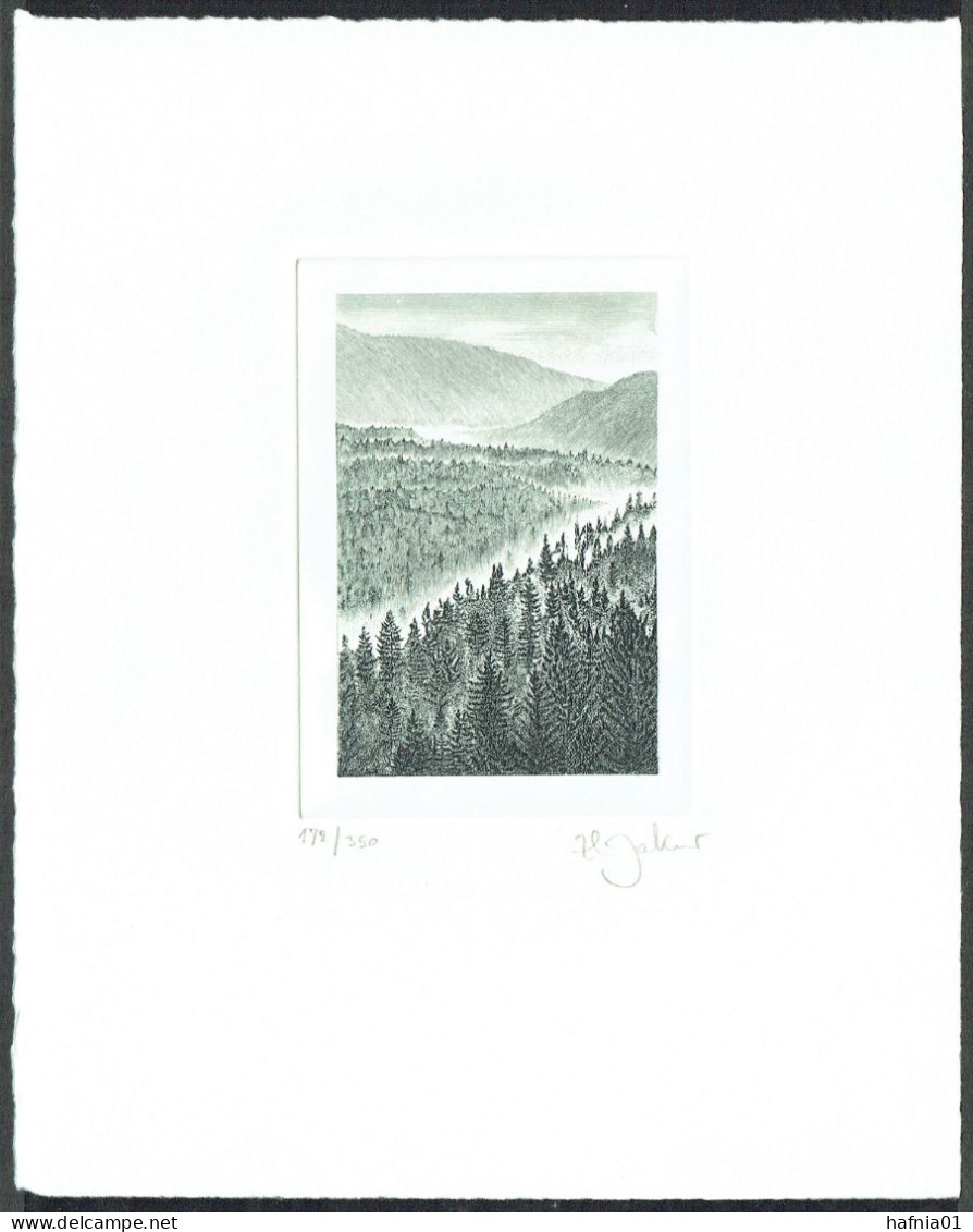 Zlatko Jakus. Sweden 1992. River Valley. Steel Engraving. LIMITED EDITION!  Signed. - Saggi E Prove