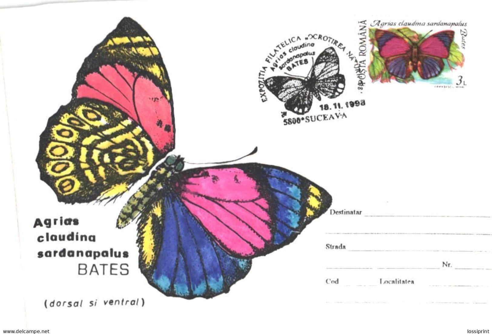 Romania:Cover, Special Cancellation And Stamp Butterfly Agrias Claudiana Sardanapalus, 1998 - Brieven En Documenten
